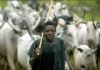 Herdsmen to register in Ekiti