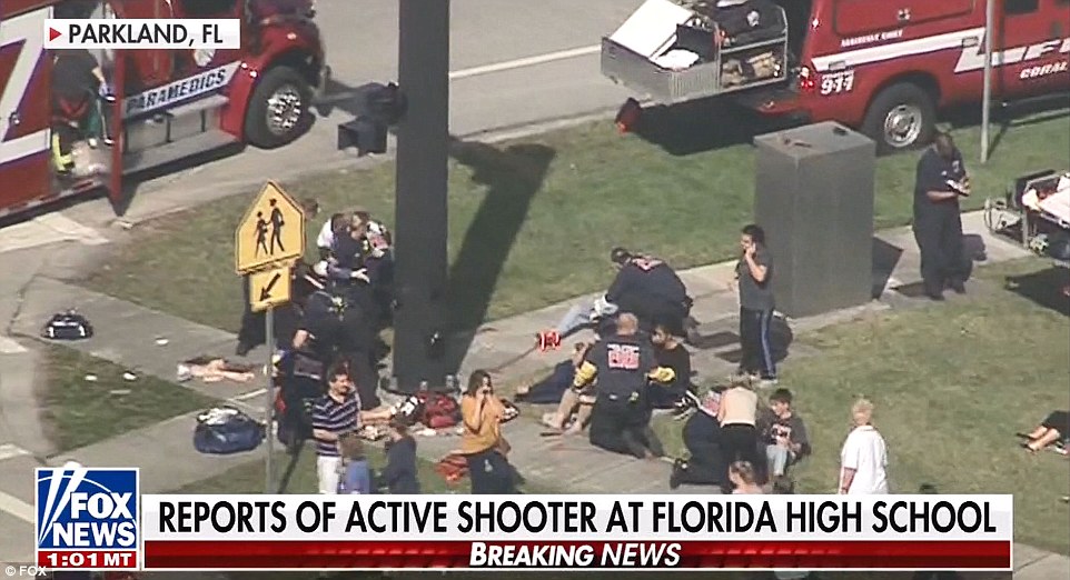 Miami School Killing-tsb.com.ng