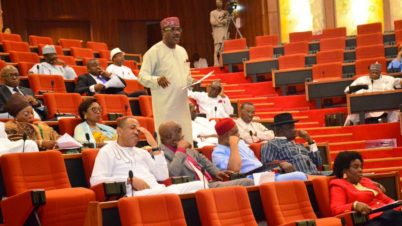 Senators fight over election schedule-tsb.com.ng