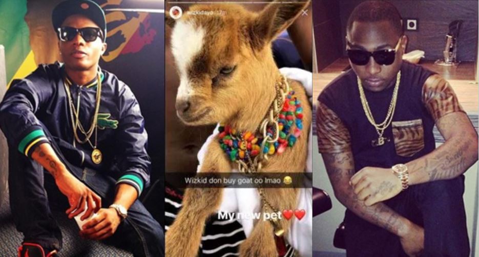 Davido-Reacts-To-Wizkid's-Pet-Goat-tsb.com.ng