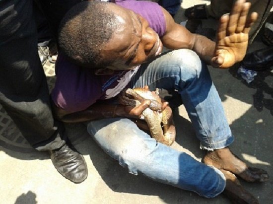 Thief-Shocked-As-Stolen-Wallet-Turns-To-Snake-tsb.com.ng