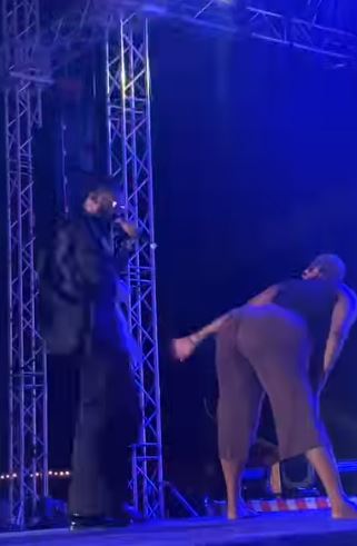 Female fan fondles D’banj’s private part on stage