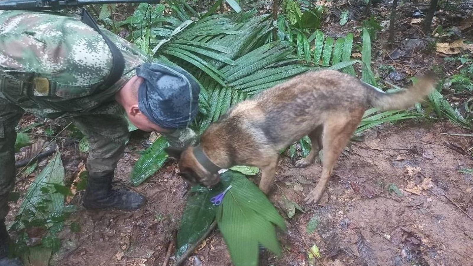 Four children, including an 11-month-old baby, found alive in jungle – weeks after plane crash in Colombia