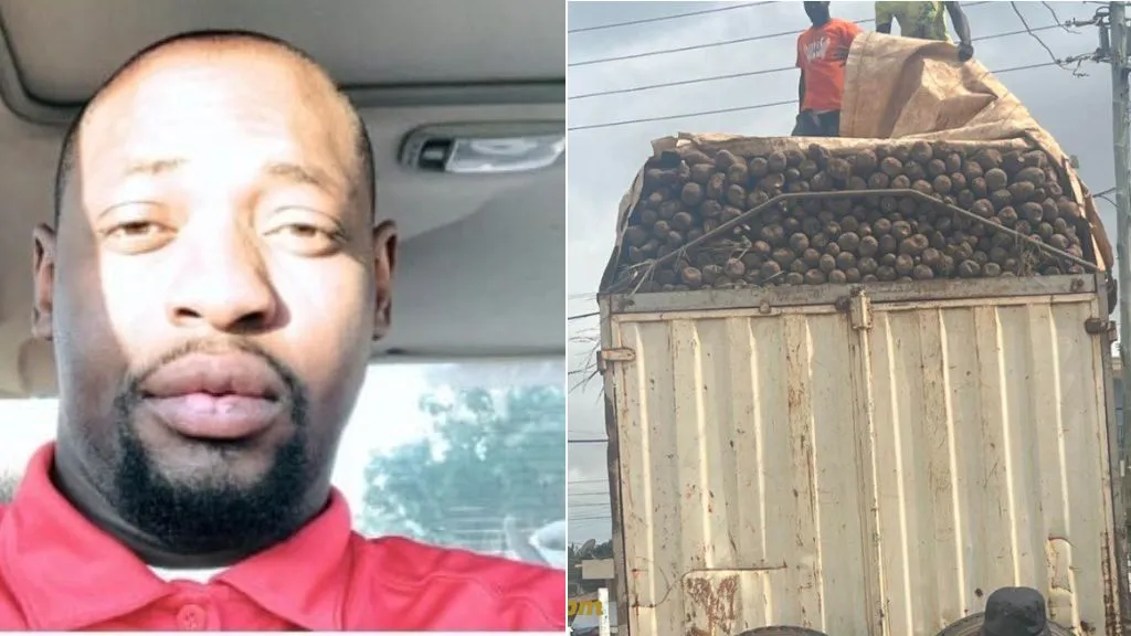 Nigerian man buys truckload of yams N20 each from Makurdi, sells at loss in Lagos