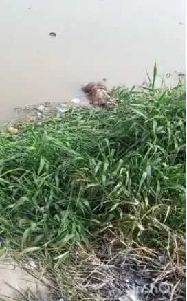 Lagos fire service recovers body of man who fell inside canal on New Year’s Day