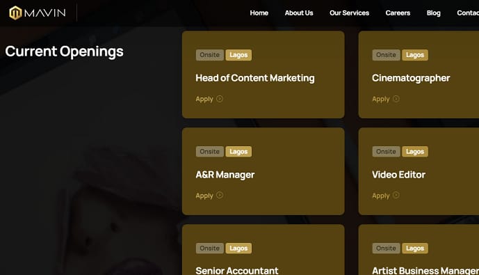 Mavin Records announces six job openings (Apply Here)