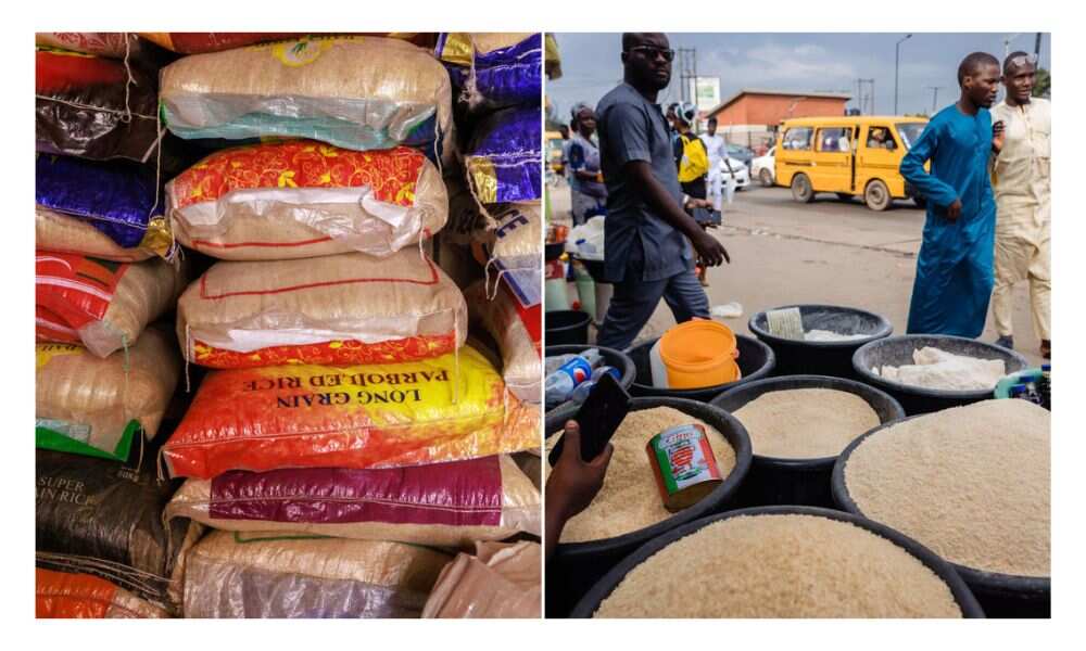 Price of rice up 81% in 1 year, Onions rise 123%