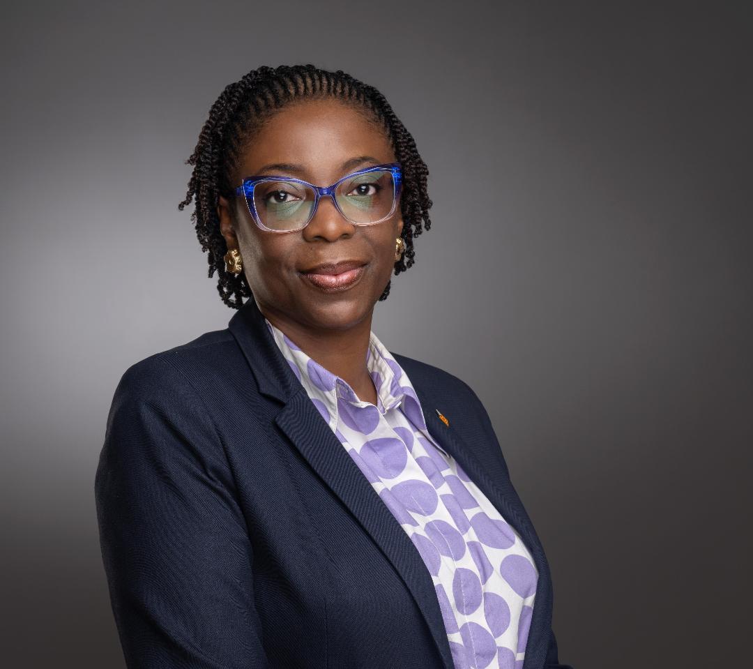 Bolaji Agbede Biography, Age, Husband, Net Worth, Access Bank New CEO
