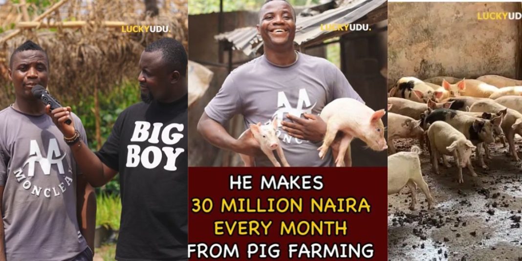 Livestock farmer who started pig business with N270k now makes N30 million monthly (Video)