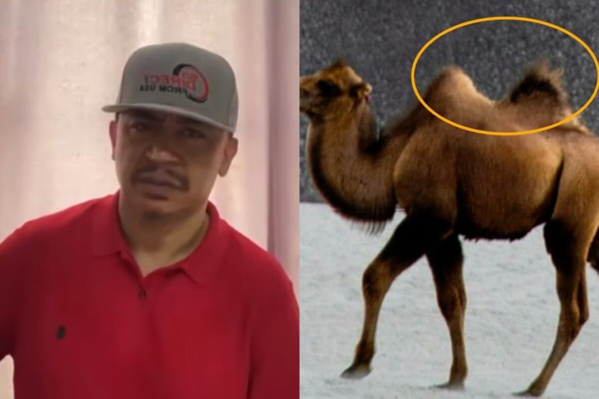 “This is what BBL looks like to me” – Daddy Freeze reveals as he airs his thoughts on BBL